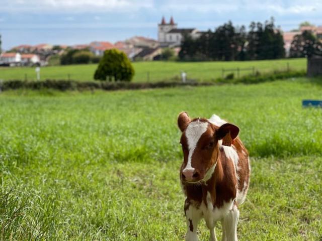 Porto Formoso Quinta Do Avo Dimas - Rural Home - Sao Bras מראה חיצוני תמונה