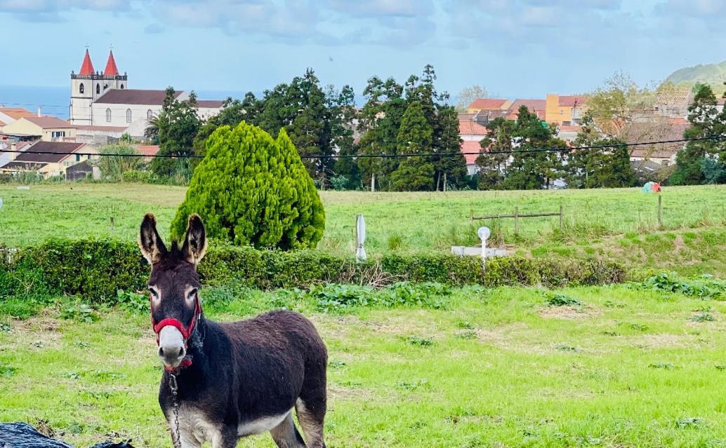 Porto Formoso Quinta Do Avo Dimas - Rural Home - Sao Bras מראה חיצוני תמונה