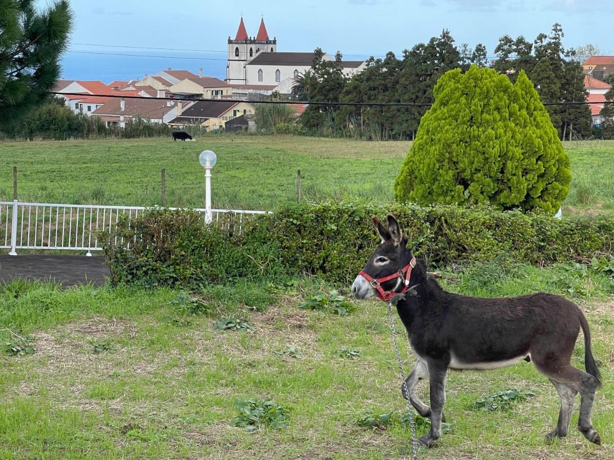 Porto Formoso Quinta Do Avo Dimas - Rural Home - Sao Bras מראה חיצוני תמונה